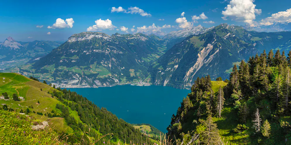 Vue depuis Niederbauen Kulm (1923 m) sur le Fronalpstock (2123 m) et Sisikon.