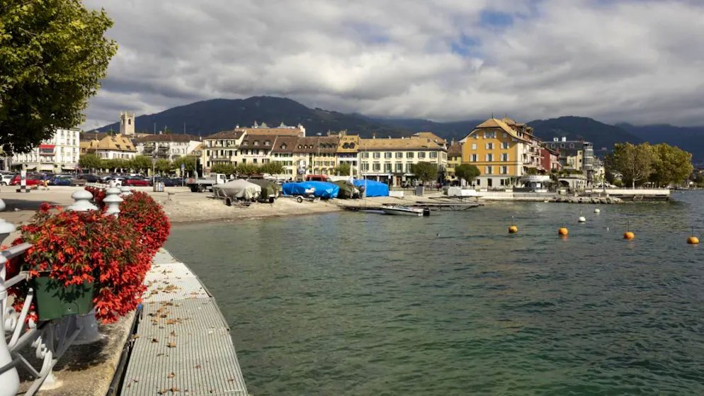 A Vevey, le Musée historique lève le voile sur les drôles d'oiseaux de ses collections (photo symbolique).