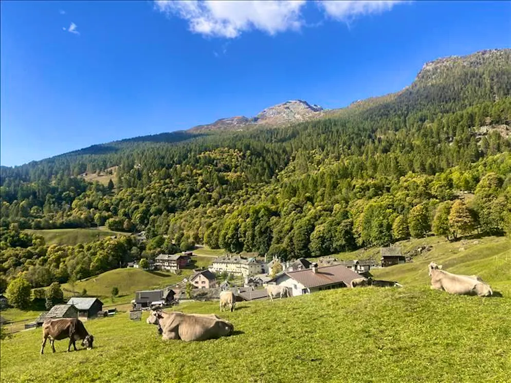 Campo Vallemaggia.