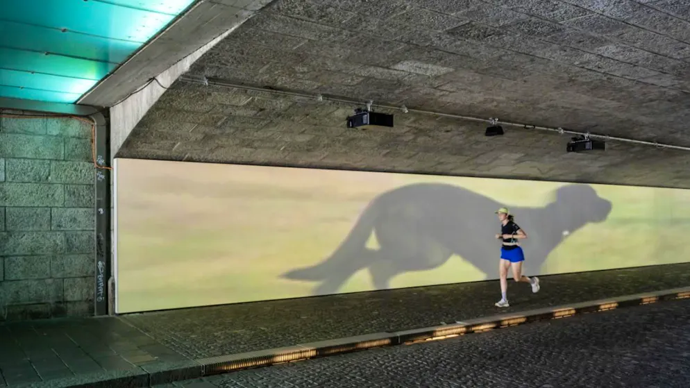 Une des installations visibles lors de cette édition 2025 d'Art Basel:  Finite/Infinite (2010) de l'artiste américain Sturtevant.