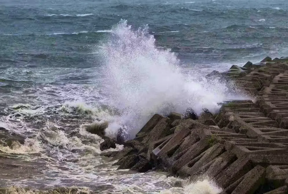Diversi Paesi possono essere colpiti da catastrofi naturali, come il Giappone.