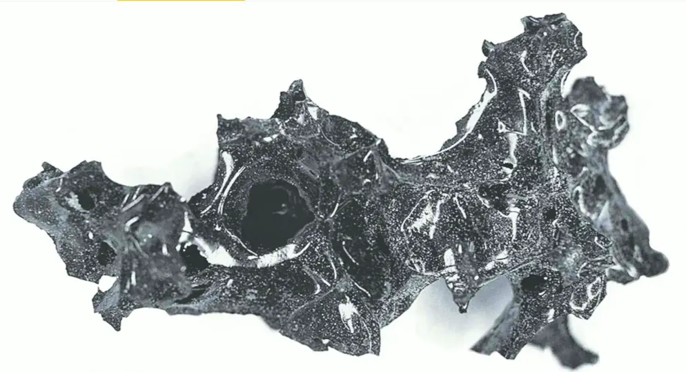 The shiny black, vitrified brain of a man from Herculaneum has puzzled scientists for years. Now it has been possible to explain how the brain turned to glass.
