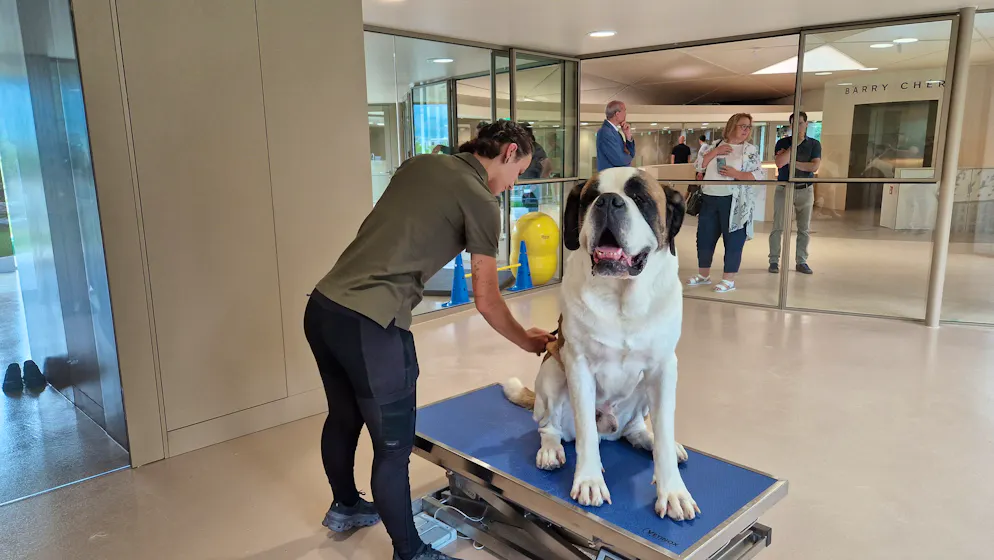 Barryland. Nouveauté: grâce aux nouveaux locaux, le public peut assister aux soins prodigués aux chiens. Ici, la gardienne Deborah Dini bichonne Zeus.