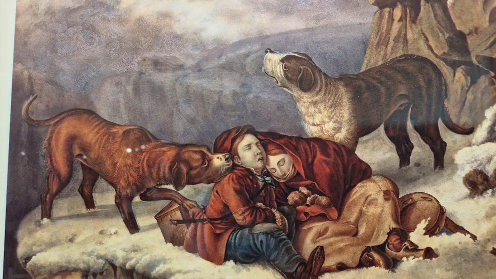 Barryland. Lors de la visite, on peut voir des objets en lien avec les Saint-Bernard, chiens emblématiques de la Suisse et symboles de l'entraide en montagne depuis fort longtemps.