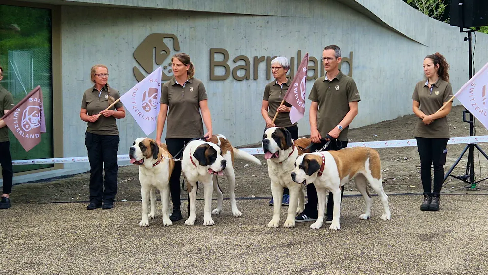 Barryland. L'arrivée officielle des chiens dans le nouvel espace qui leur est dédié.