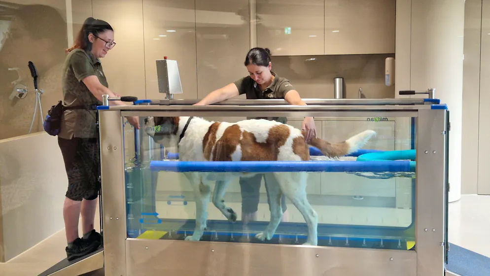 Barryland. Jusqu'ici, le travail des gardiens d'animaux se faisait dans l'ombre.