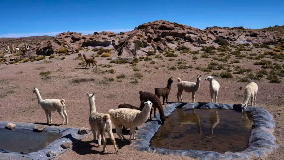 L'Atacama è solitamente il deserto più arido al mondo.
