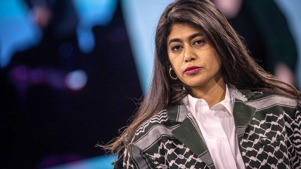 «On va te la brûler ta Palestine». Rima Hassan prise pour cible: deux employés de supermarché licenciés