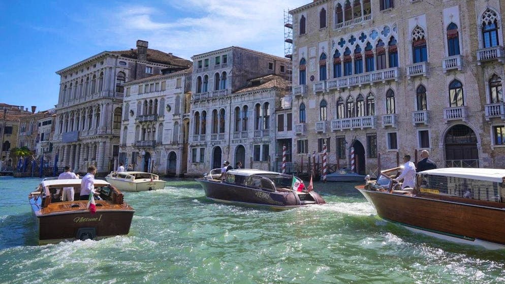 Ecco il video. Dopo il delfino, avvistata anche una foca monaca nella Laguna di Venezia