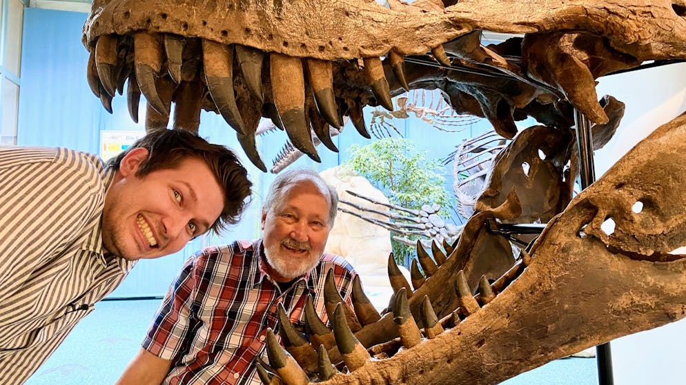 Dinosaur expert clarifies. 