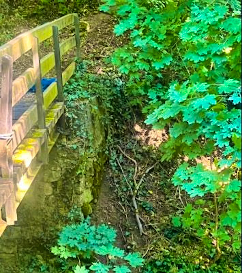 The accident occurred in the Felsentäli in Schaffhausen.