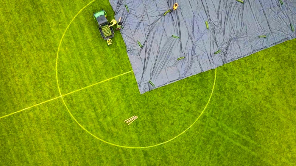 Due to an infestation of Japanese beetles, a football pitch in Kloten was covered with a film last year. It was intended to prevent the beetles from flying out. (archive picture)