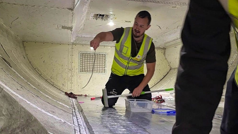 È successo in Australia. Serpente a bordo di un aereo ritarda di due ore il volo