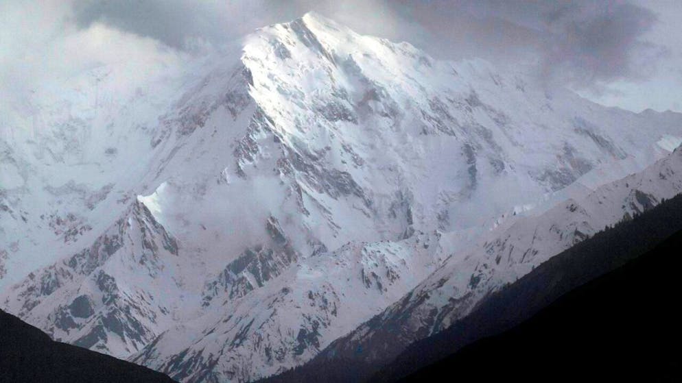 Polemica in Trentino. Un rifugio alpino nega l'accesso a una cagnolina infreddolita durante una tempesta