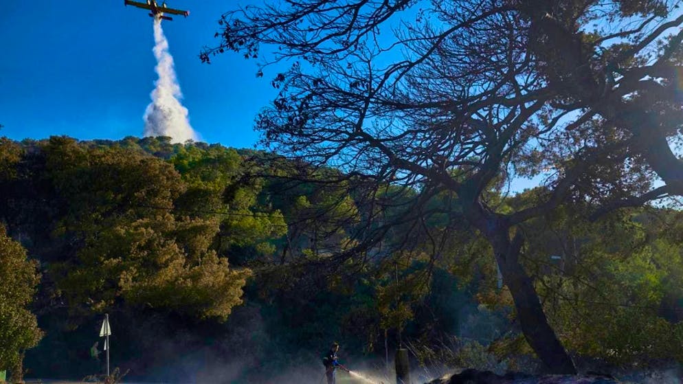 A firefighting plane drops water as a forest fire burns and several houses in the area have been destroyed. Photo: Petros Giannakouris/AP/dpa