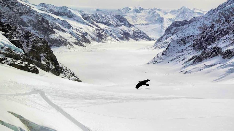 The snow that covered the Great Aletsch Glacier this winter has already disappeared again. (archive picture)