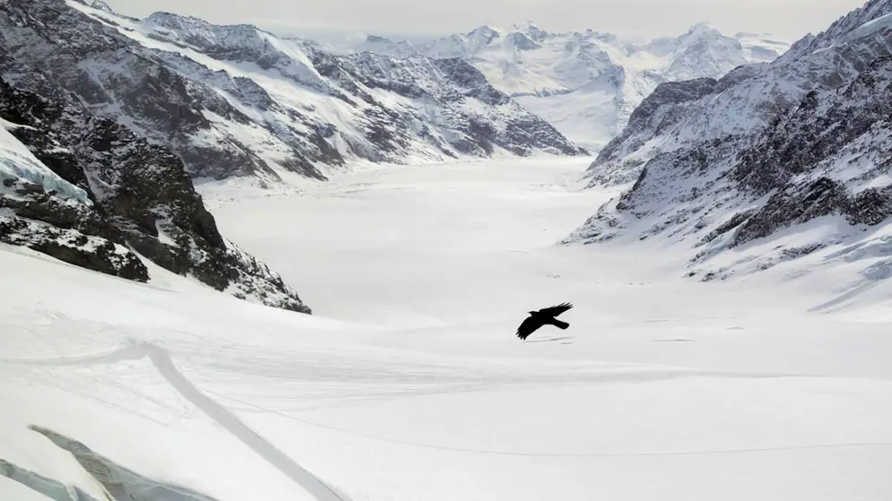 La neige qui recouvrait le grand glacier d'Aletsch cet hiver a déjà disparu (photo d'archives)