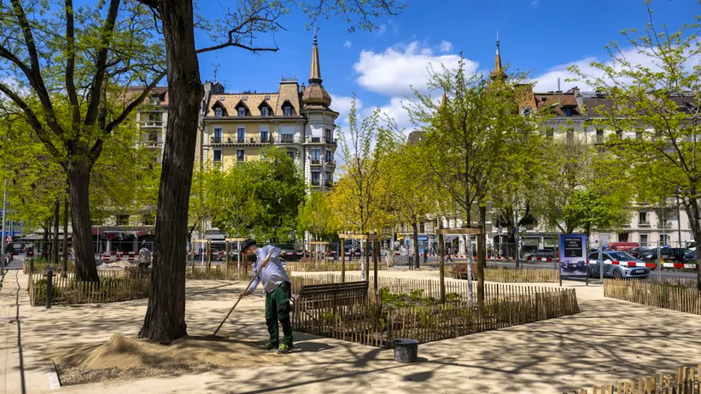 Negli ultimi anni, la città di Ginevra si è impegnata fortemente per accelerare la piantumazione di alberi e di verde, al fine di combattere le isole di calore, migliorare la qualità della vita nei quartieri e promuovere la biodiversità.