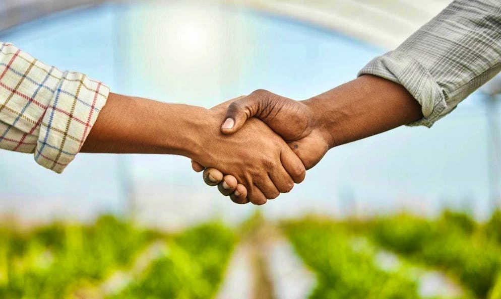 Expensive swap: Why a simple land swap cost almost 11,000 francs. (symbolic image)