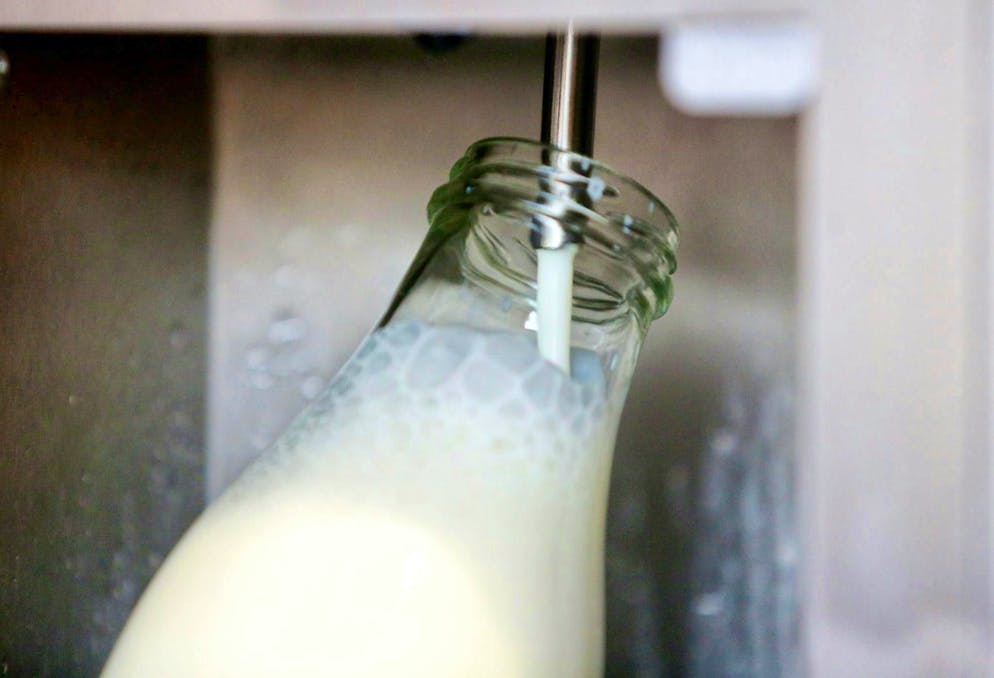 The virus was transmitted through raw milk cheese. (archive picture)