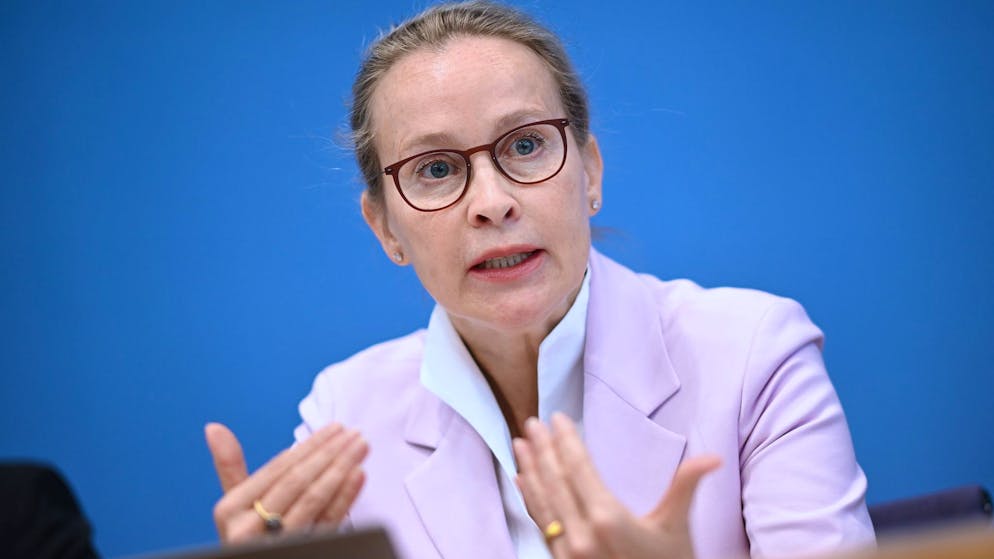 Plagiarism allegations suddenly 