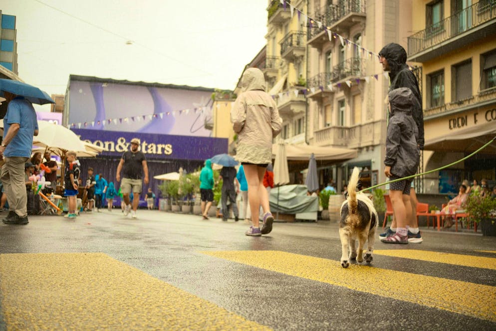 M&S Rain. With a little help from St. Peter, it stays dry during the concerts in the evening.