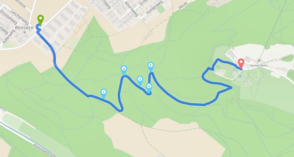 Der neue Weg startet ab Blinzern.