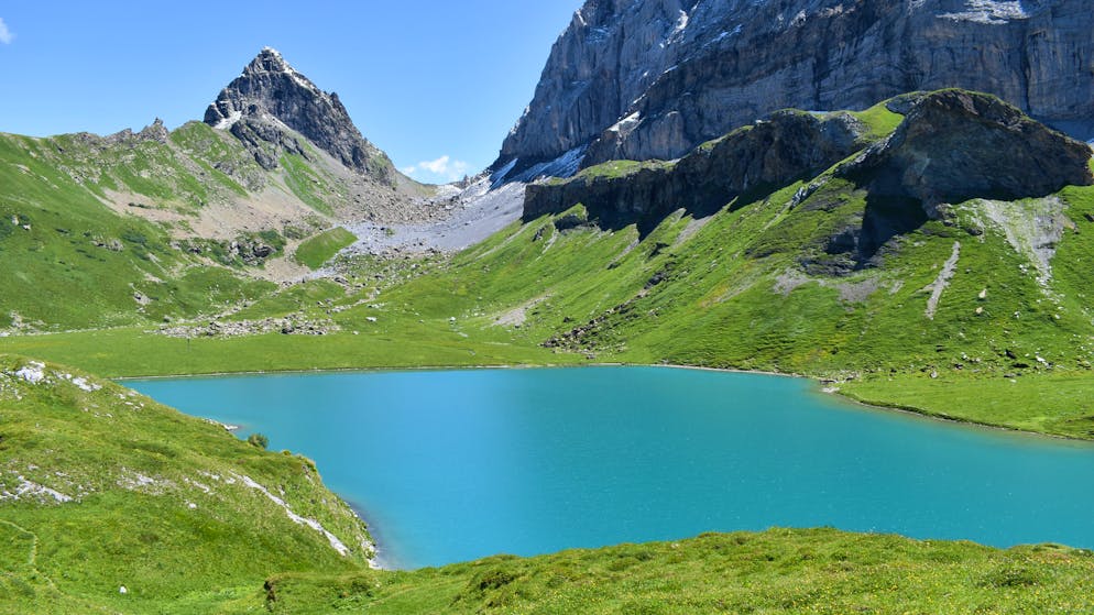 «Vorletztes Wochenende waren es 53 Zelte». Turnschuh-Touristen stören Kühe – zum Ärger von Hüttenwarten