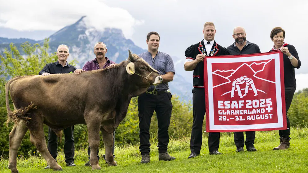 All figures for the Swiss Wrestling Festival. 270,000 liters of beer ++ 37 tons of sawdust ++ 696 toilets