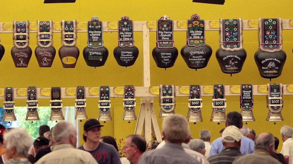 There are also 15 live prizes among the non-cash prizes. Winner's muni ZIBU goes to the festival winner.