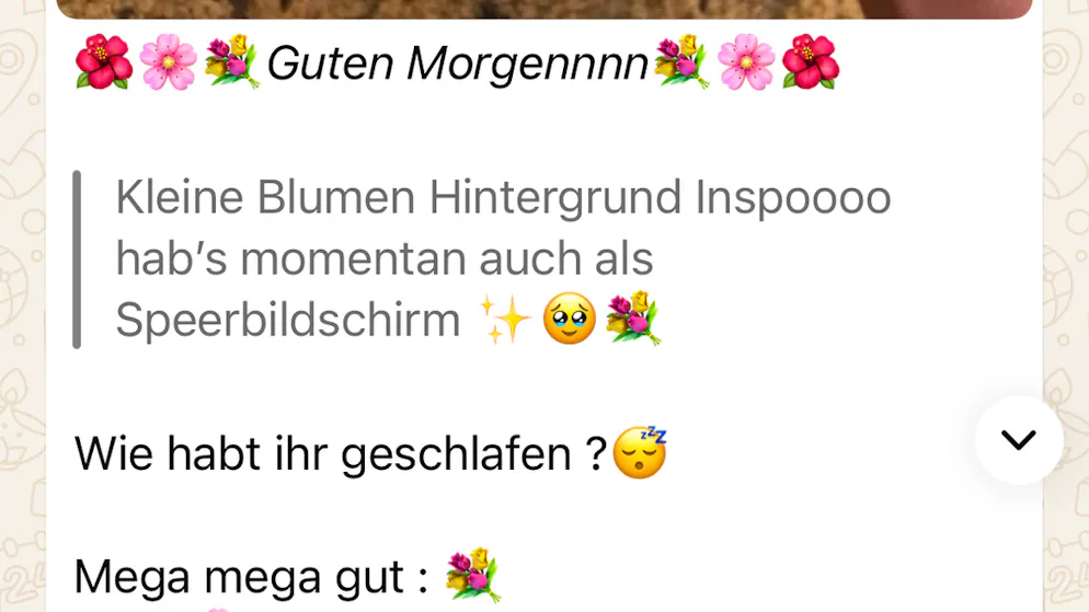 Expertin warnt. 13-Jährige teilt auf WhatsApp private Infos mit Tausenden