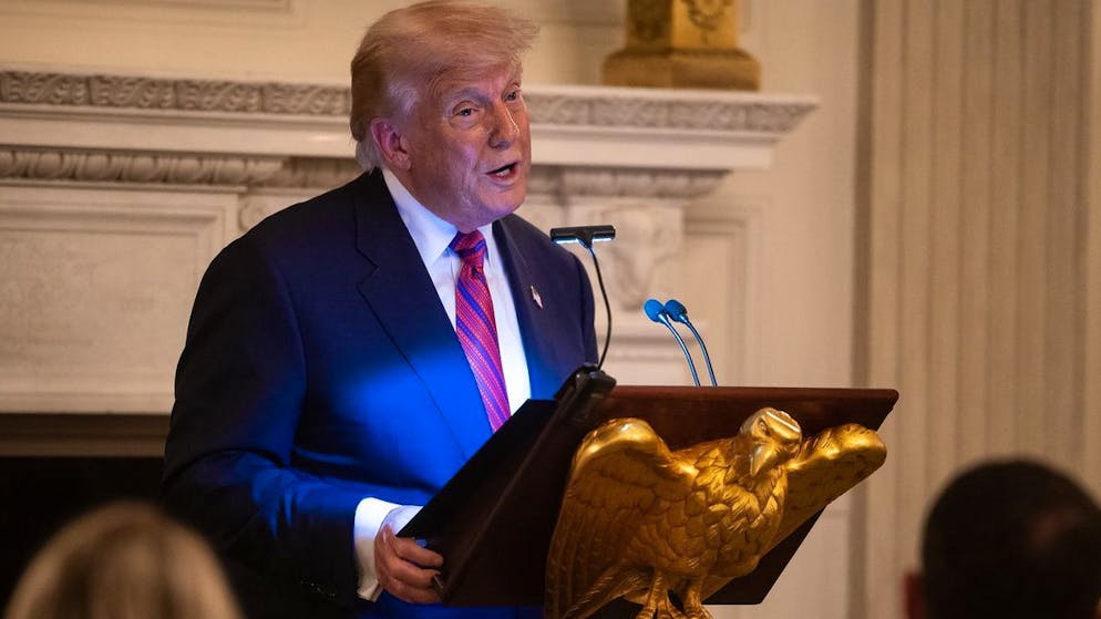 Stati Uniti. Dazi e migranti nei primi sei mesi di Trump alla Casa Bianca, ma il caso Epstein gli rovina la festa