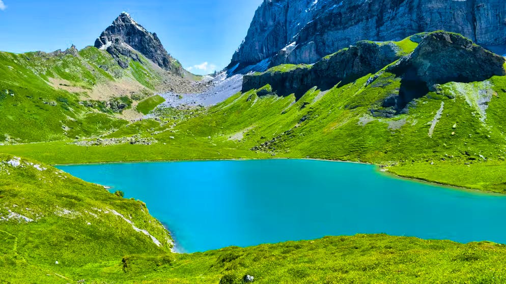 In nome di Instagram. Nel Canton Uri turisti irrispettosi e senza esperienza disturbano le mucche e rovinano gli alpeggi