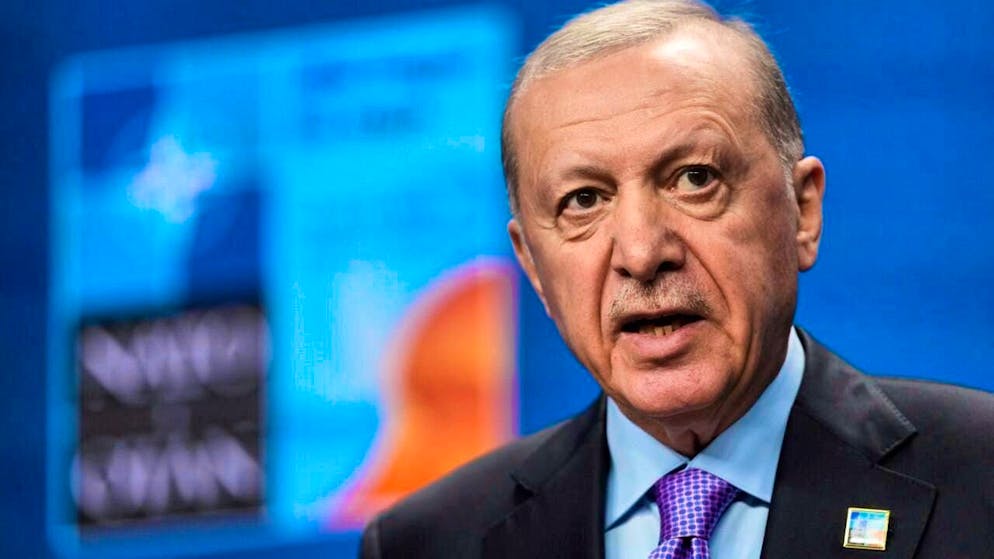 ARCHIVE - Turkish President Recep Tayyip Erdogan speaks during a press conference at the NATO summit. Photo: Matthias Schrader/AP/dpa
