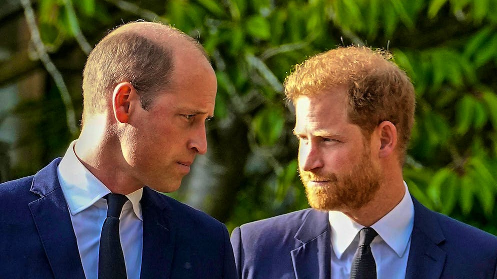Ecco come. Harry coinvolge William e Kate nella battaglia legale contro il Daily Mail