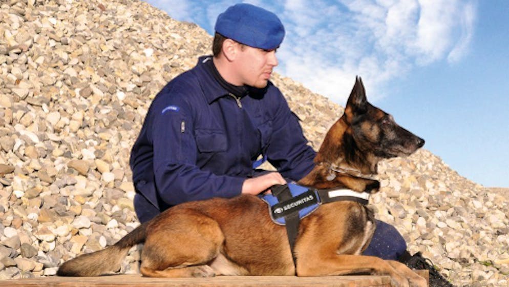 Aufruhr im Aargau. Diensthund beisst zweimal zu – Halter wehrt sich gegen Maulkorbpflicht