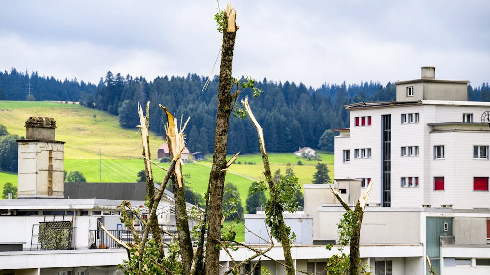 Actu et dicton du jour. La tempête qui a frappé La Chaux-de-Fonds a fait une victime collatérale