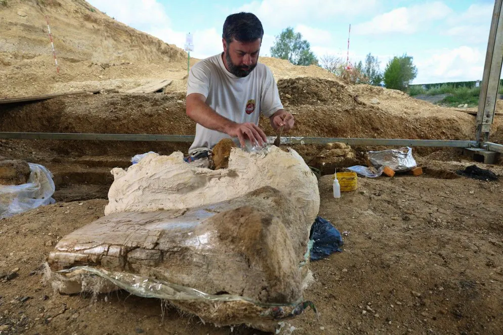 Un excavateur applique un plâtre sur un os fossilisé de dinosaure afin d’en assurer une conservation optimale et d’éviter toute détérioration lors du transfert, à Angeac-sur-Charente, le 19 juillet 2025.