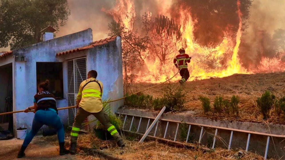 Almost 2700 firefighters fight severe forest fires in Portugal - Gallery. Firefighters fight forest fires in Portugal.