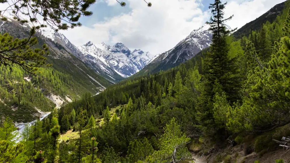 Il Parco nazionale svizzero in Bassa Engadina quest'anno celebra 111 anni dalla sua creazione.