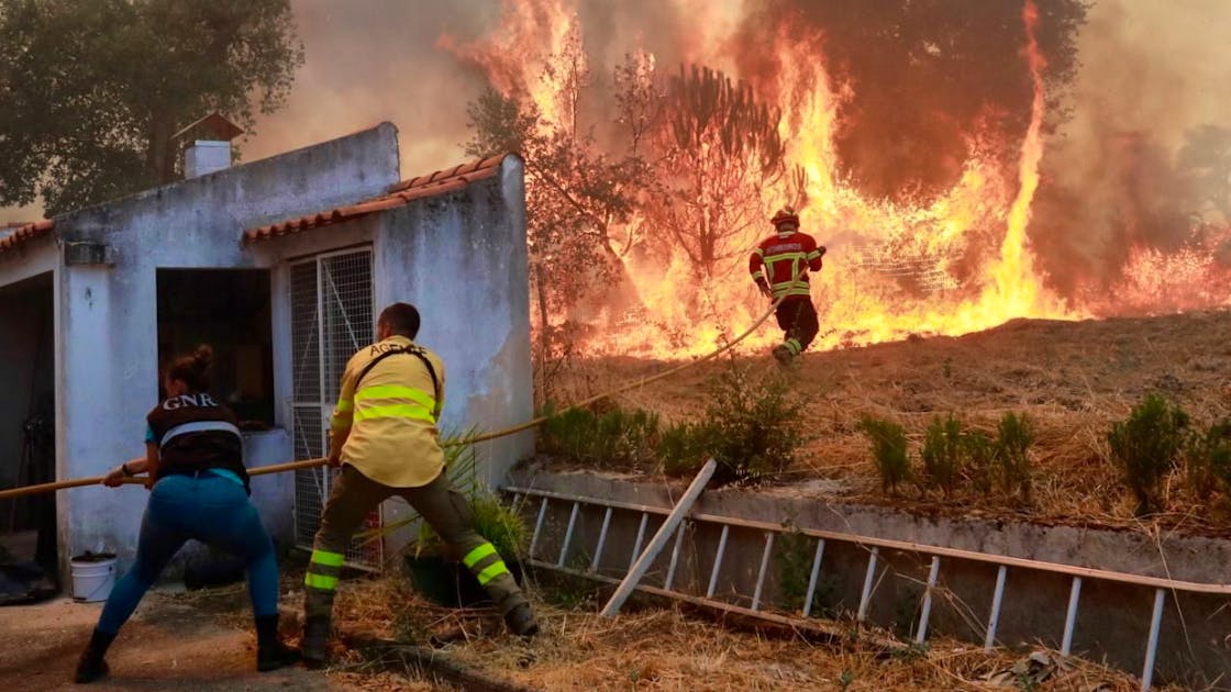Brand, Feuer: Fast 2700 Feuerwehrleute bekämpfen schwere Waldbrände in Portugal | blue News
