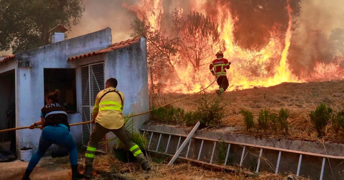 Brand, Feuer: Fast 2700 Feuerwehrleute bekämpfen schwere Waldbrände in Portugal | blue News Brand, Feuer: Fast 2700 Feuerwehrleute bekämpfen schwere Waldbrände in Portugal | blue News