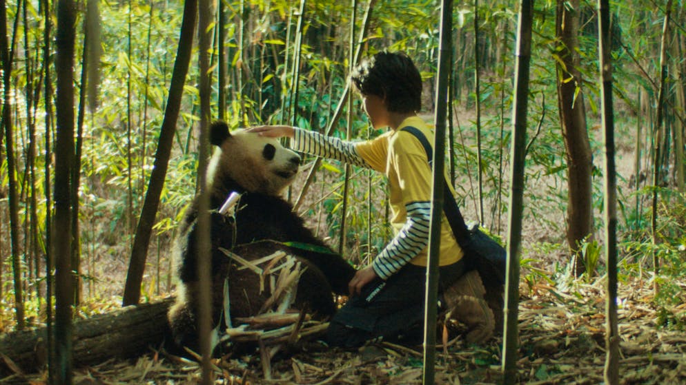 In Moon, le Panda entdeckt der 12-jährige Tian im Bambuswald ein verlassenes Pandababy – und lernt, was es heisst, Verantwortung zu übernehmen.