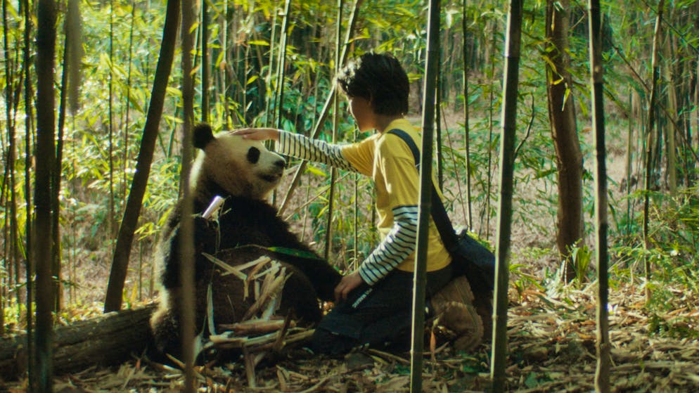 5 movie tips for the whole family. Playing with pandas and dragons instead of Nintendo