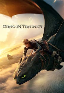Dragon Trainer IT Artwork
