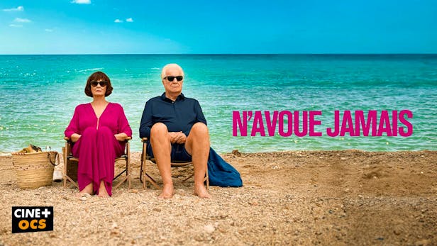N’avoue jamais FR Artwork