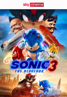 Sonic the Hedgehog 3 DE Artwork