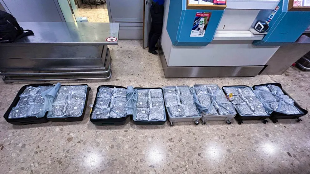 La marijuana était emballée sous vide dans les bagages des voyageurs.