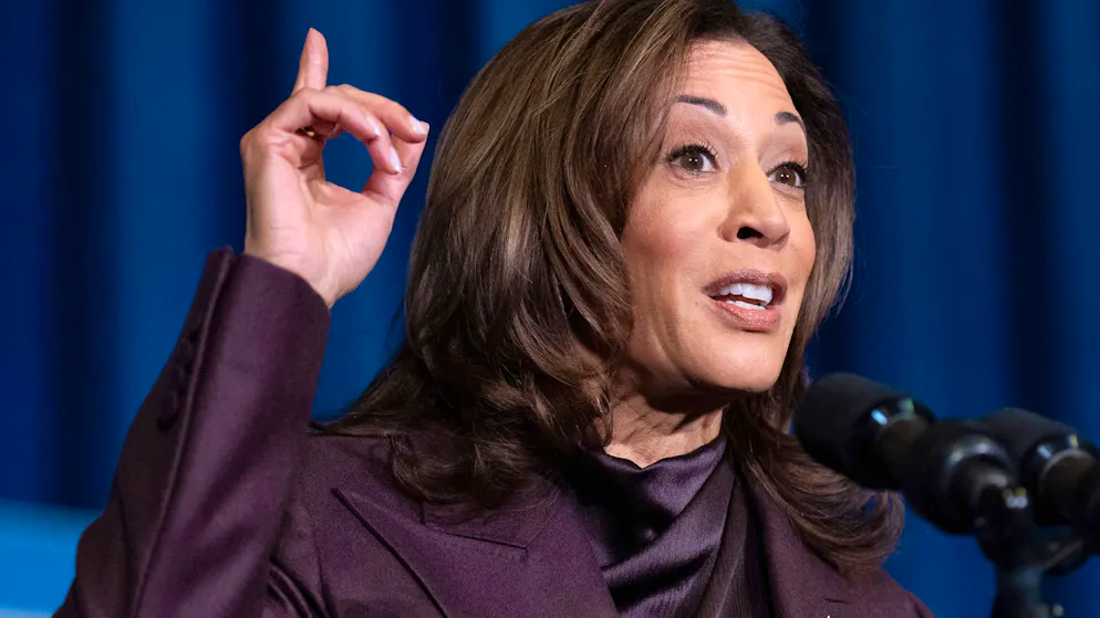 USA unter Donald Trump. Trump plant vergoldeten Triumphbogen in Washington