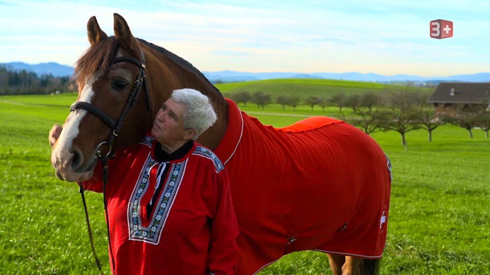 Gabi ist seit drei Jahren verwitet, nun ist sie bereit für eine neue Beziehung.